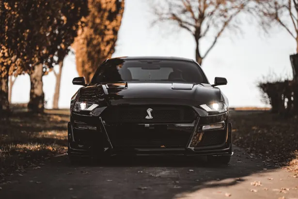 Casino Golden Palace Aplicación Android/iOS